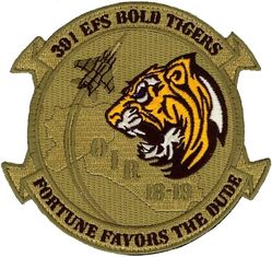 391st Expeditionary Fighter Squadron Operation INHERENT RESOLVE 2018-2019
Keywords: OCP
