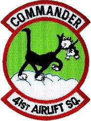 41st Airlift Squadron Commander
