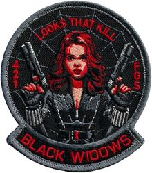 421st Fighter Generation Squadron Morale
