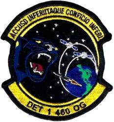 460th Operations Group Detachment 1
