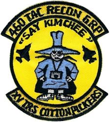 460th Tactical Reconnaissance Group RF-4C
Korean made.
