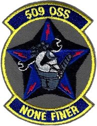 509th Operations Support Squadron
