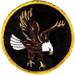 50th Flying Training Squadron Eagle Flight
Diving eagle
