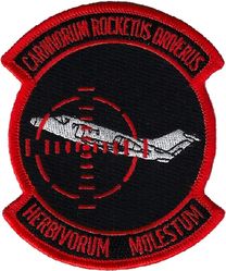 50th Flying Training Squadron Morale
