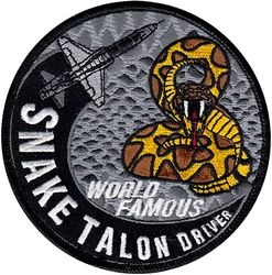 50th Flying Training Squadron T-38 Pilot
