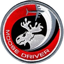 517th Airlift Squadron C-17 Pilot
