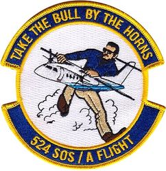 524th Special Operations Squadron A Flight
