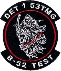 53d Test Management Group Detachment 1
