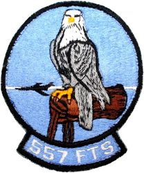 557th Flying Training Squadron
First FTS version.

