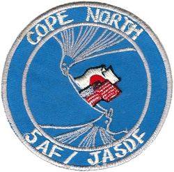5th Air Force Exercise COPE NORTH
Korean made.
