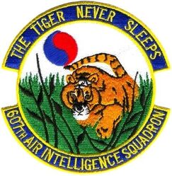 607th Air Intelligence Squadron
