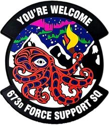 673d Force Support Squadron Morale
Keywords: PVC