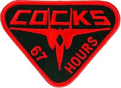 67th Fighter Squadron F-15 67 Hours
Japan made.
