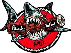 75th Fighter Squadron Morale
AMF= Adios Mother Fucker.
