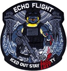 802d Security Forces Squadron E Flight
