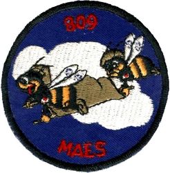 809th Medical Air Evacuation Squadron
