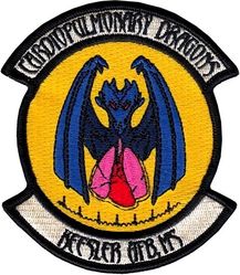 81st Medical Group Morale
