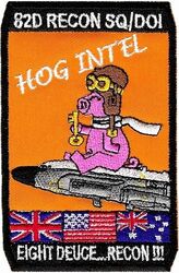 82d Reconnaissance Squadron Intelligence Section Morale 
