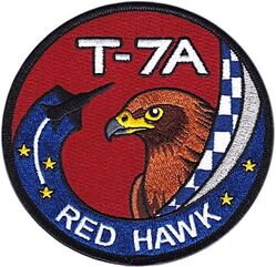 99th Flying Training Squadron T-7A Pilot
