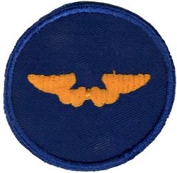 Army Air Forces Flight Instructor
