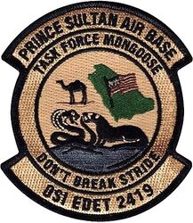 Air Force Office of Special Investigations Expeditionary Detachment 2419
