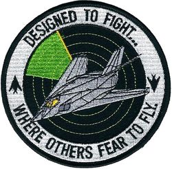 417th Weapons Squadron F-117A
From unit 2004.
