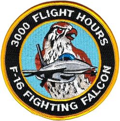 General Dynamics F-16 Fighting Falcon 3000 Hours
Official company issue. 
