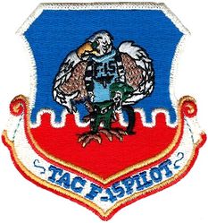 Tactical Air Command F-15 Pilot
Possibly used at Luke or Nellis, exact lineage is unknown but appears to be mid 70s era.
