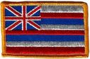 199tfs_flag.jpg