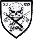 30oss_wt.jpg