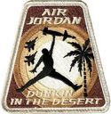 494efs_jordan_21.jpg