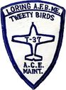 71ftw_ol_g_ace_t37_maint~0.jpg