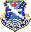 goose_hosp.jpg