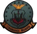 tac_cg_s.jpg