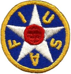 United States Army Air Forces Instructor
