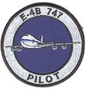 Filename=1_ACCS_E-4B_747_Pilot.jpg
Filesize=16KiB
Dimensions=242x249
Date added=Feb 26, 2014 1_ACCS_E-4B_747_Pilot.jpg