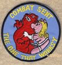 343_SRS_Combat_Sent_Worksy.jpg
