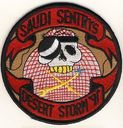 552_AWAC_Wg_Op_Desert_Storm.jpg