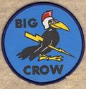 Big_Crow_28V129.jpg