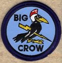 Big_Crow_28V429.jpg