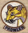 EA-6B_Prowler_28cat_disc_V129.jpg