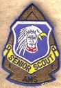 Senior_Scout_AMS.jpg
