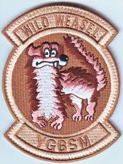 480th Fighter Squadron Wild Weasel Morale
Keywords: desert