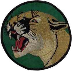 Fighter Squadron 143 (VF-143)
VF-143 (1st)
1953-1955
Established as VF-821 at NAS New Orleans and called to active duty on 20 Jul 1950; VF-143 4 Feb 1953-1 Apr 1958. 
Grumman F9F-6 Cougar 
Ens. James Walby, USS Essex (CV-9), Westpac Cruise 1953-1954 
