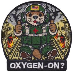 10th Expeditionary Aeromedical Evacuation Flight Morale
