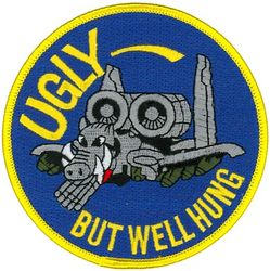 103d Fighter Squadron A-10

