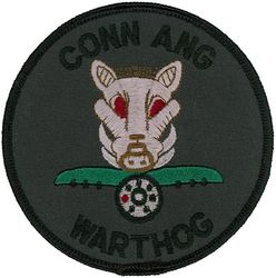 118th Fighter Squadron A-10
Keywords: subdued