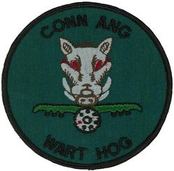 118th Tactical Fighter Squadron A-10
Keywords: subdued