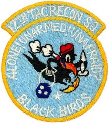 12th Tactical Reconnaissance Squadron 

