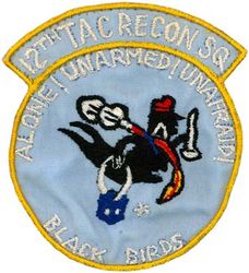 12th Tactical Reconnaissance Squadron 
